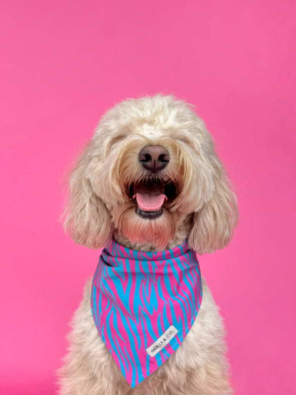 Malibu Doll - Dog Bandana