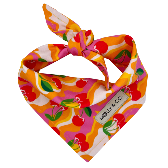 Sweet Cherry - Reversible Dog Bandana