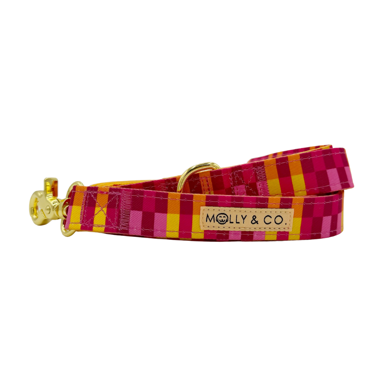 Odessa - Dog Leash