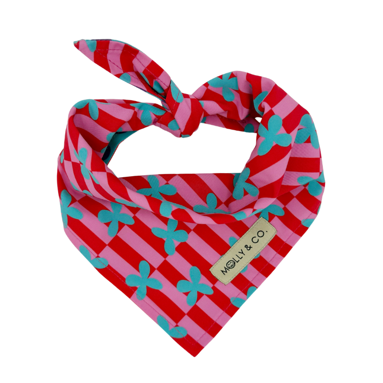 Supernova - Reversible Dog Bandana