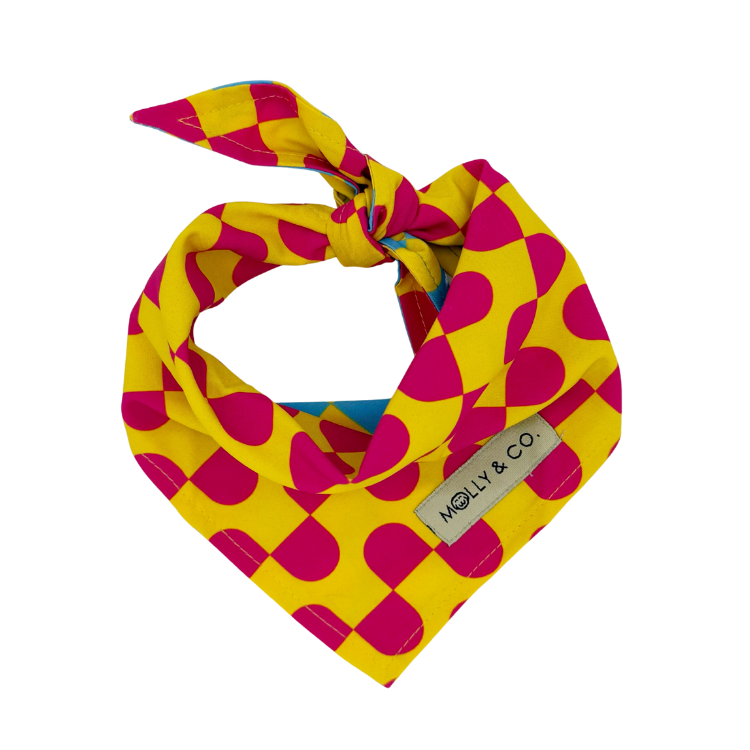 Sunrise - Reversible Dog Bandana