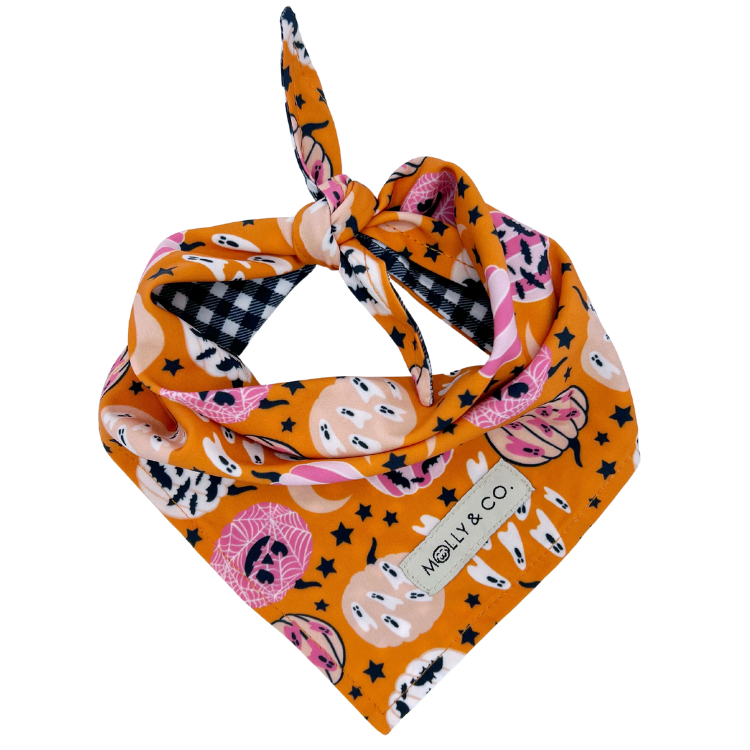 Pumpkin Star - Reversible Dog Bandana
