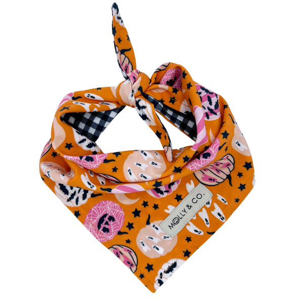 Pumpkin Star - Reversible Dog Bandana