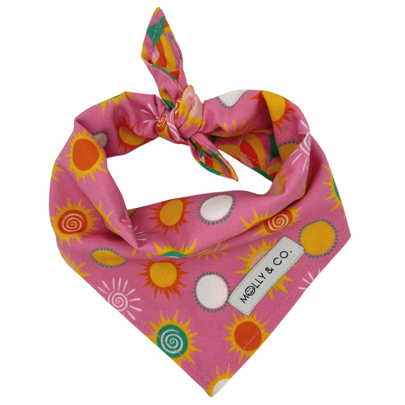 Shine Bright - Reversible Dog Bandana