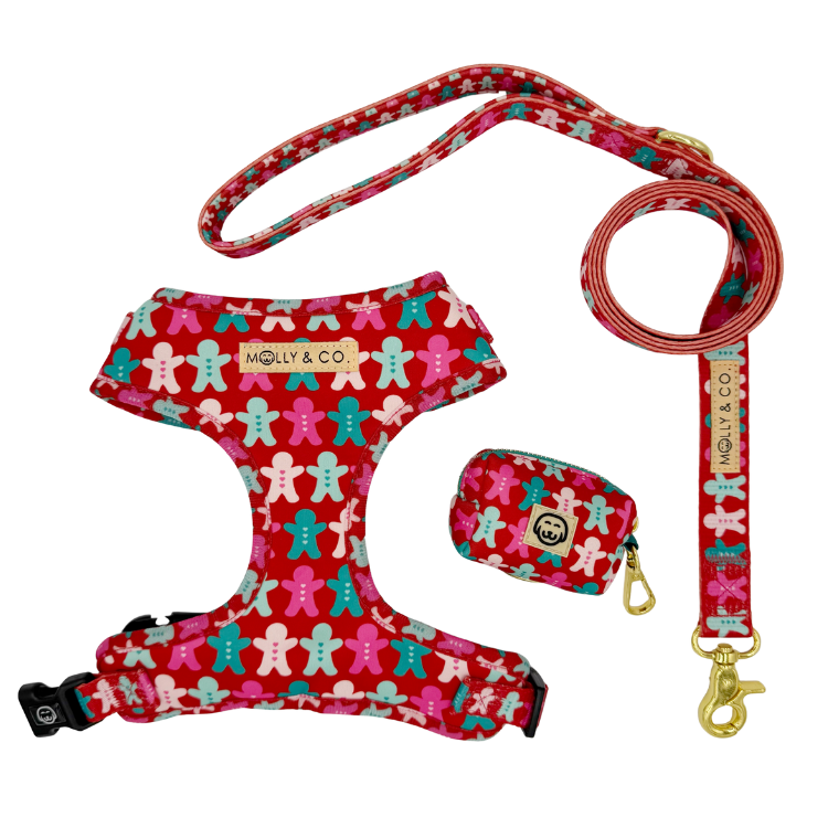 Gingerbread - Walking Bundle