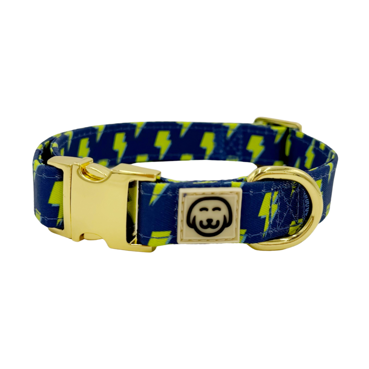 Bolt - Dog Collar