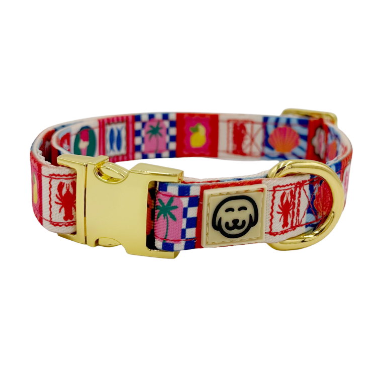 Amalfi - Adjustable Dog Collar
