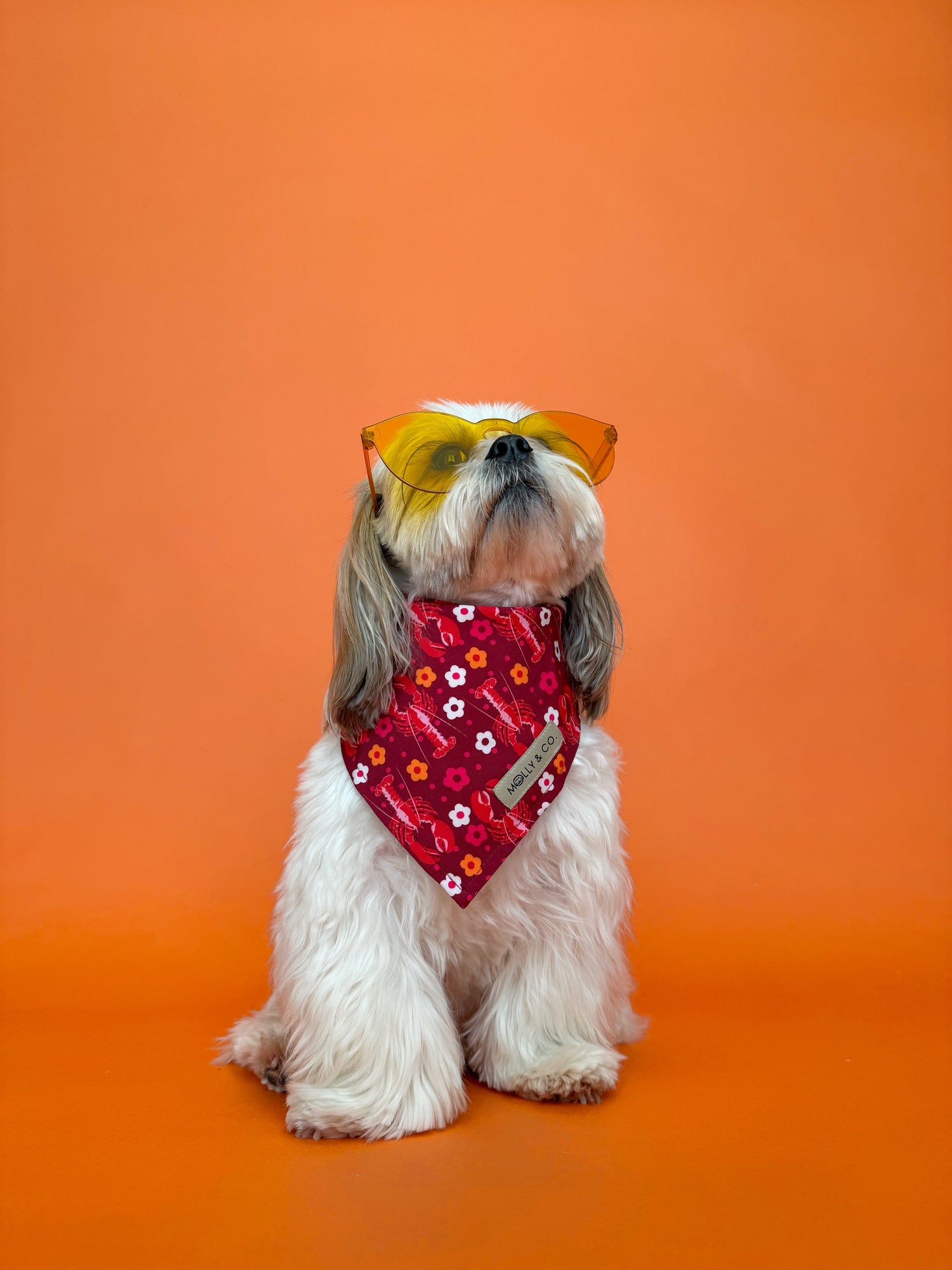 Lady Lobster - Dog Bandana