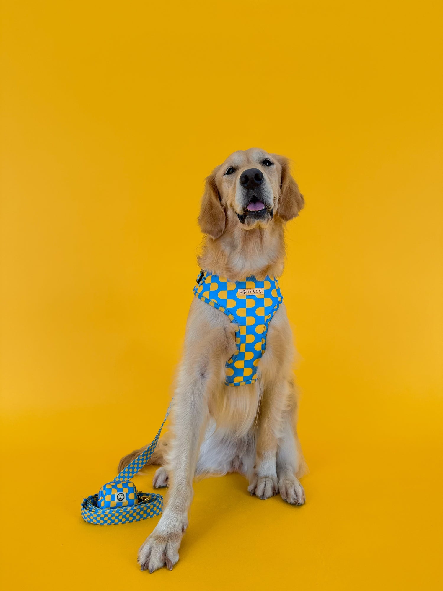 Sunrise - Adjustable Dog Harness