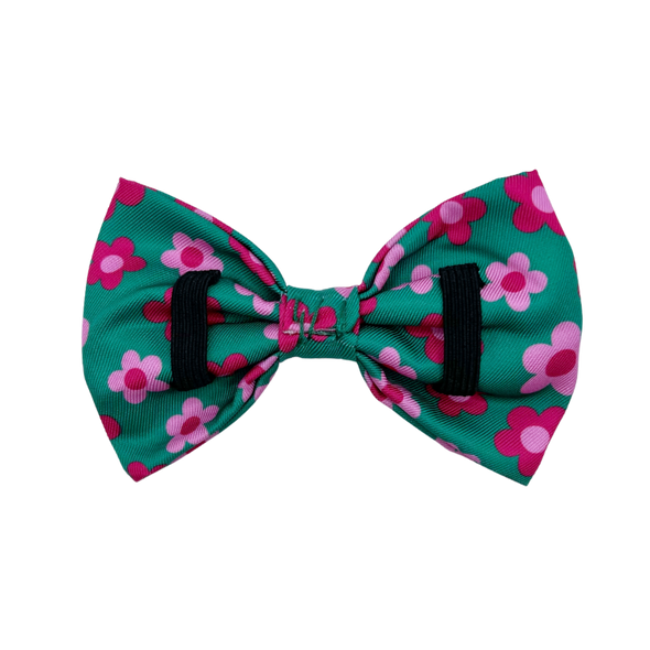 Petunia - Dog Bowtie