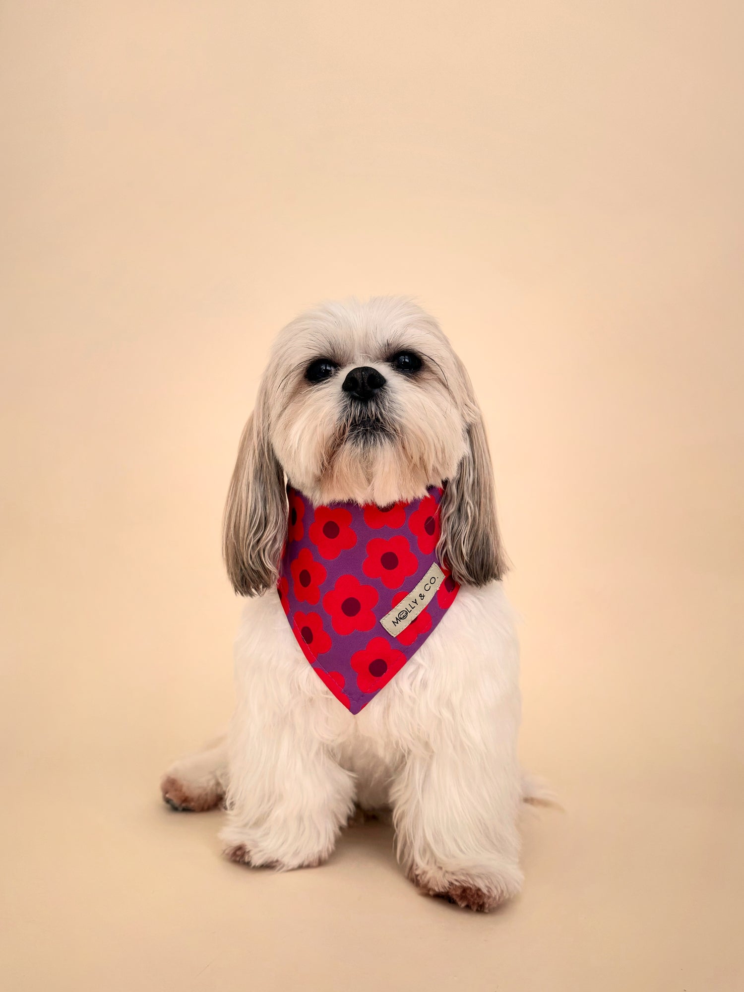 Mon Chéri - Reversible Dog Bandana
