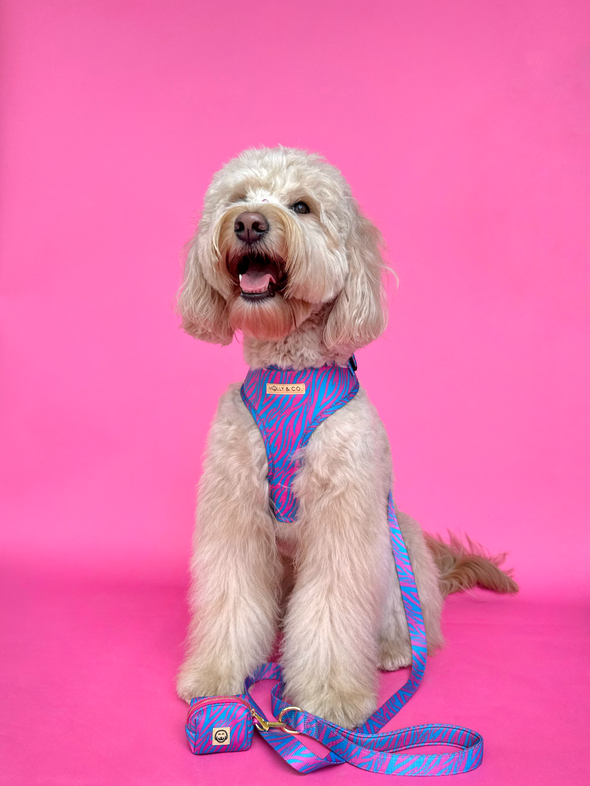 Malibu Doll - Adjustable Dog Harness