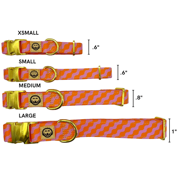 Mango - Dog Collar