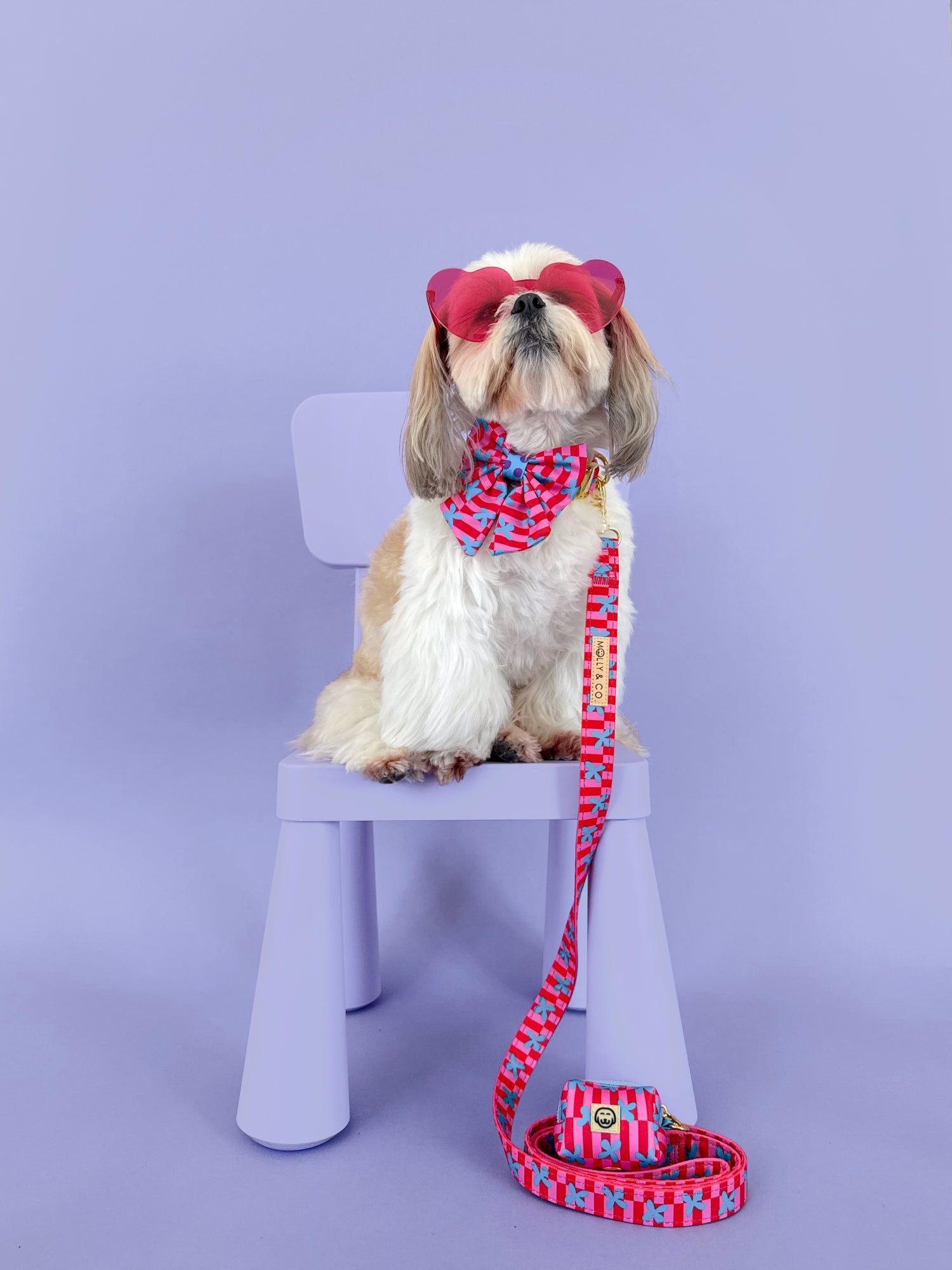 Supernova - Dog Leash