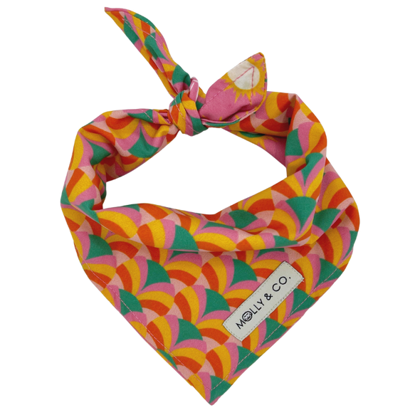 Shine Bright - Reversible Dog Bandana