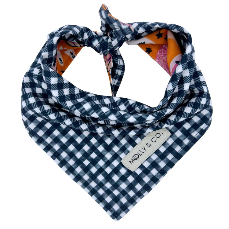 Pumpkin Star - Reversible Dog Bandana