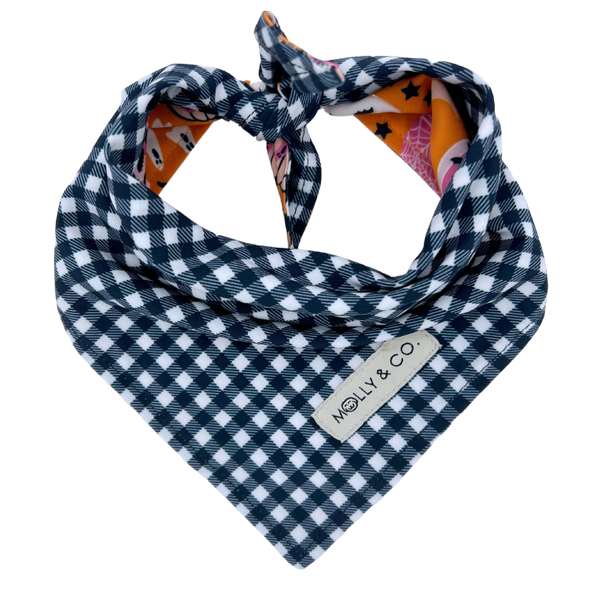 Pumpkin Star - Reversible Dog Bandana