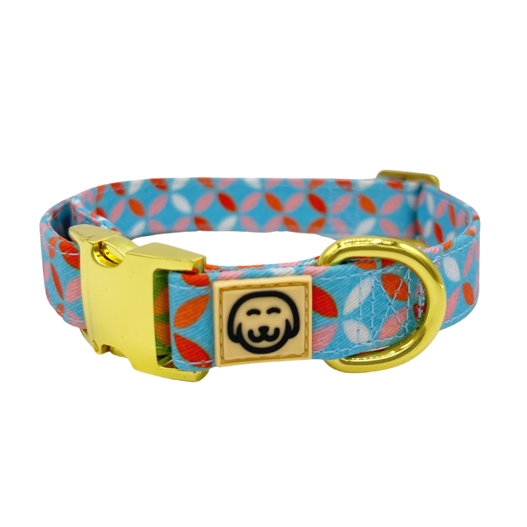 Santorini - Dog Collar - FINAL SALE