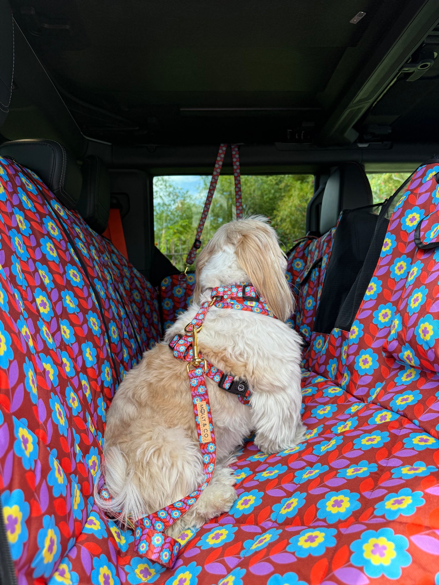 Poppy - Dog Seatbelt