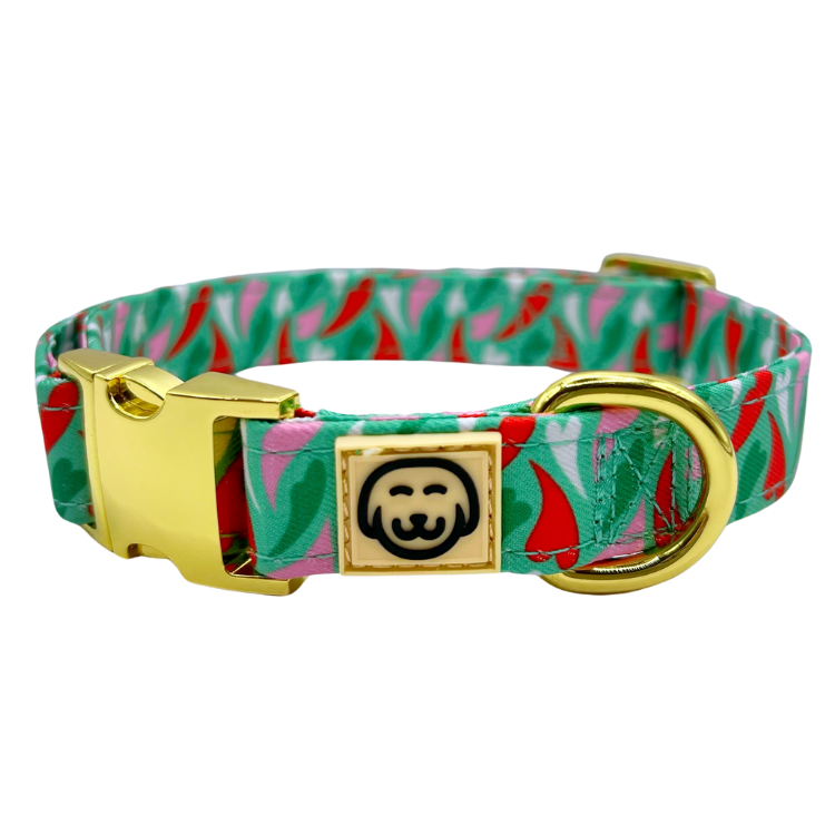 Amore - Dog Collar