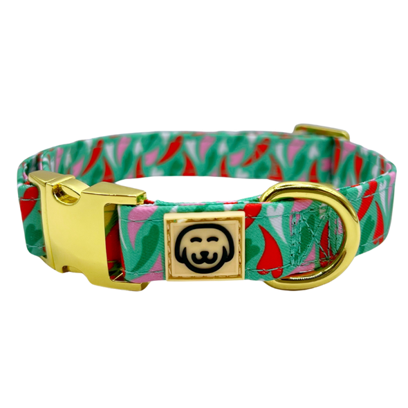 Amore - Dog Collar