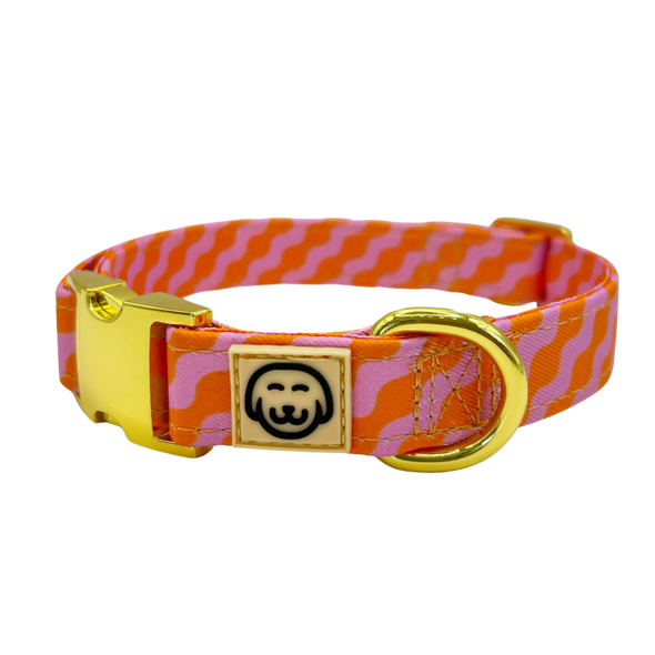 Mango - Dog Collar