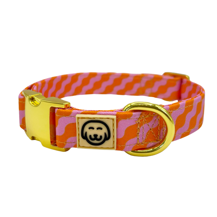 Mango Dog Collar Molly Co