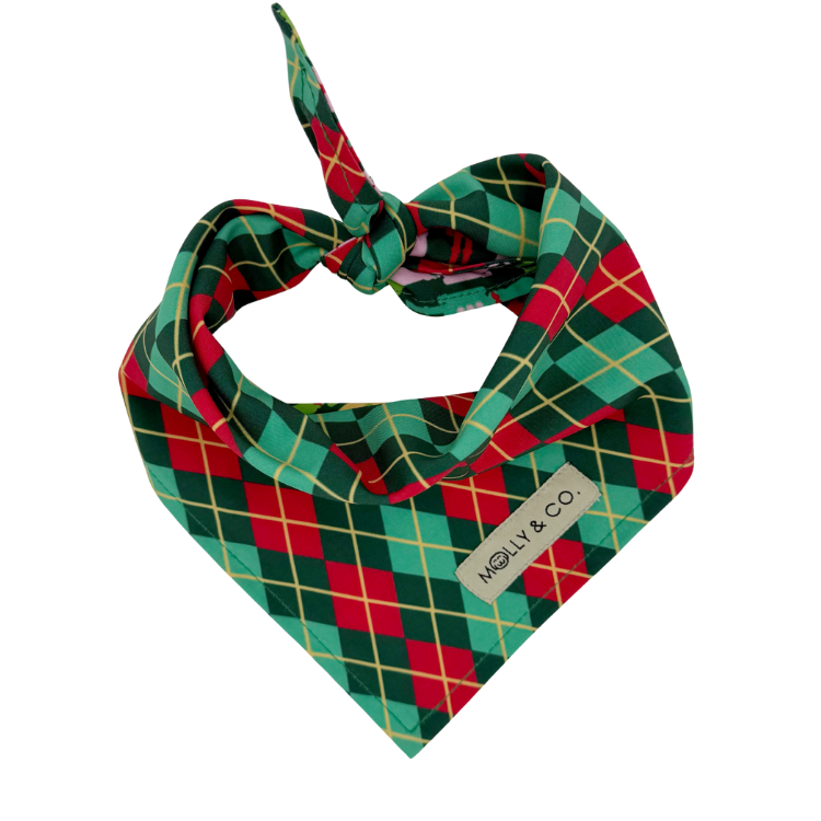 Evergreen Argyle + Nutcracker - Reversible Dog Bandana