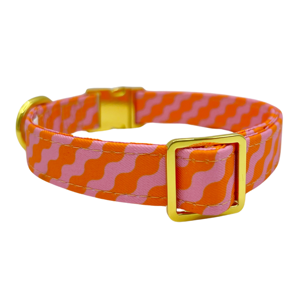 Mango - Dog Collar