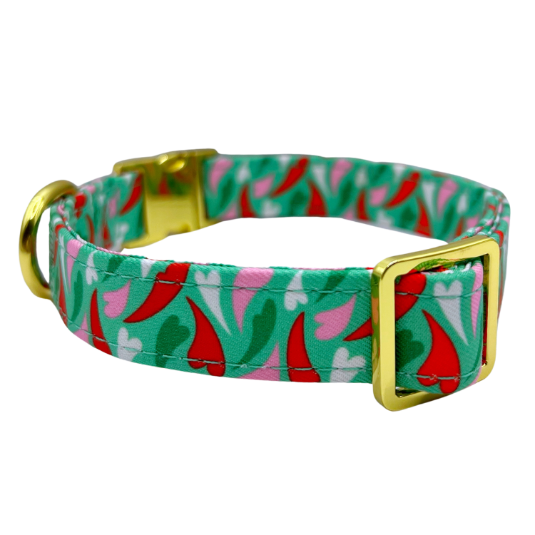 Amore - Dog Collar