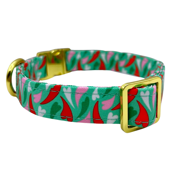 Amore - Dog Collar