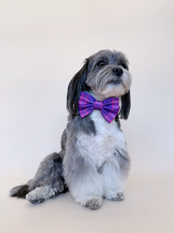 Pinkberry Plaid - Dog Bowtie