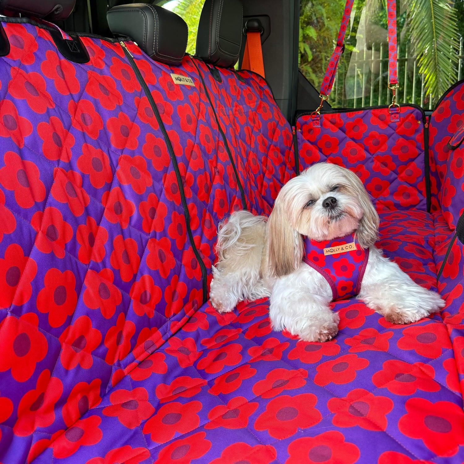 Mon Chéri - Dog Car Seat Cover