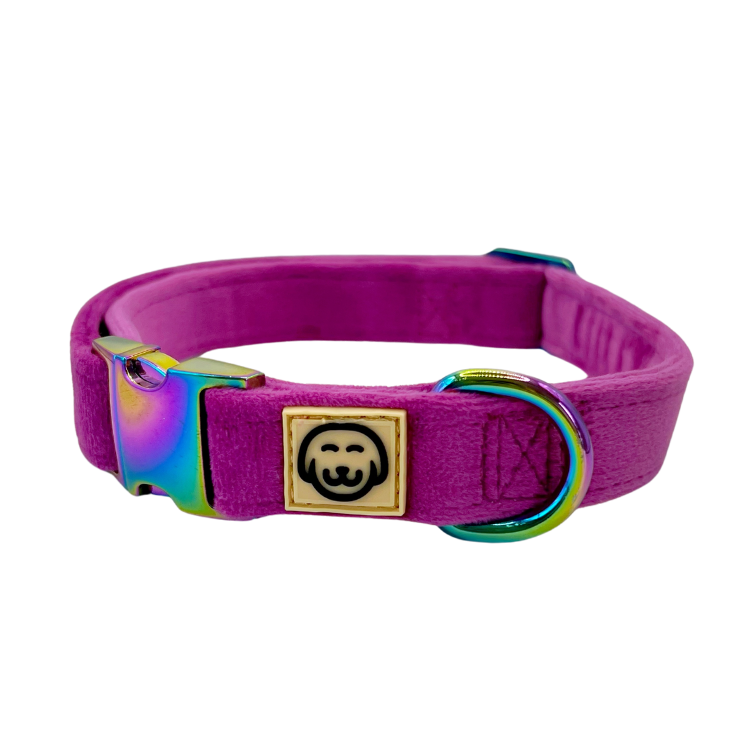Plum Velvet- Dog Collar