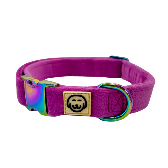 Plum - Dog Collar