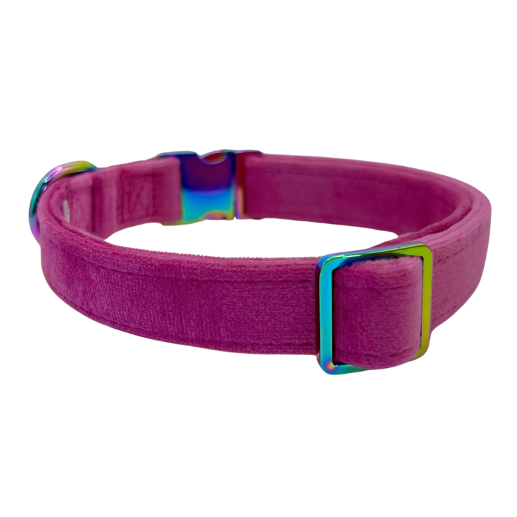 Plum Velvet- Dog Collar