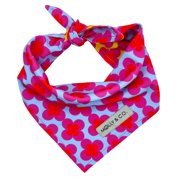 Venezia - Reversible Dog Bandana