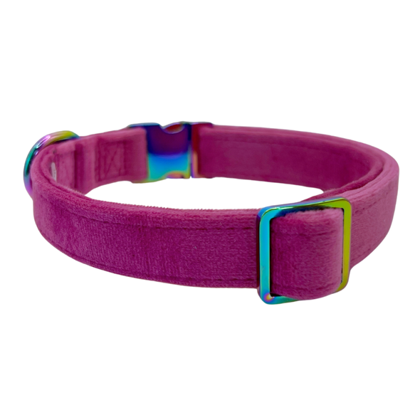 Plum - Dog Collar