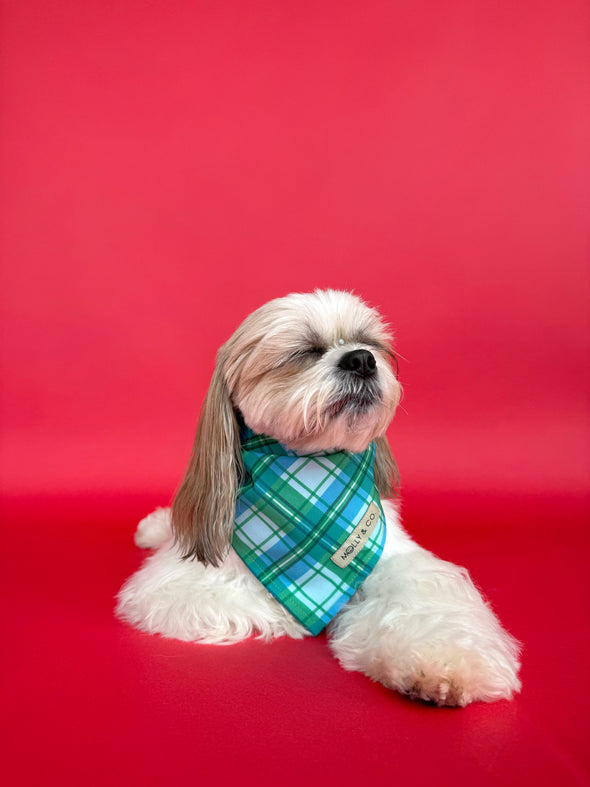 Northern Lights + Deck the Halls - Reversible Dog Bandana