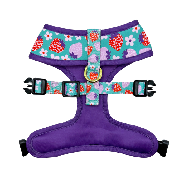 Strawberry - Reversible Dog Harness