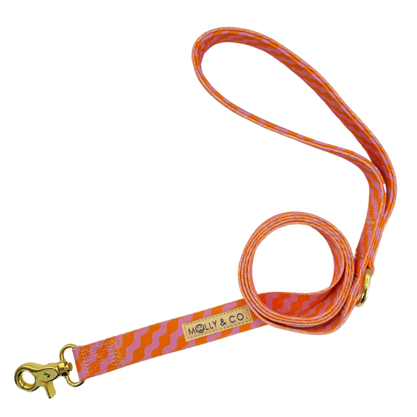 Mango - Dog Leash