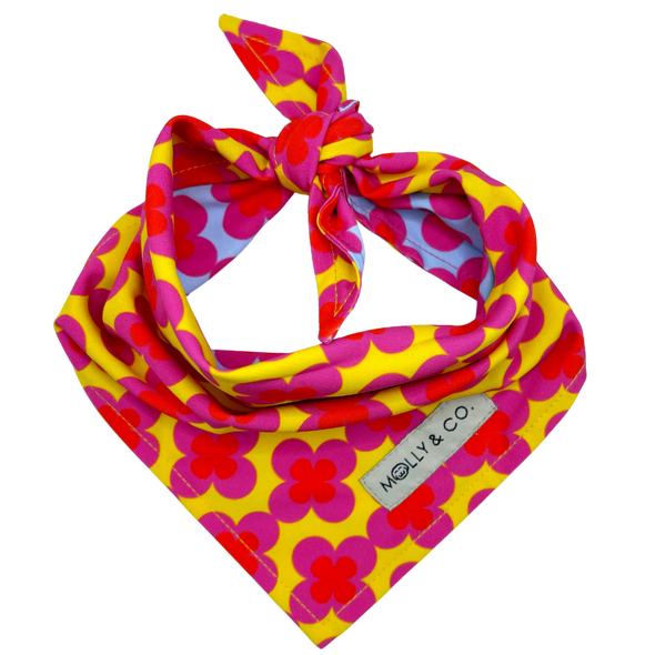 Venezia - Reversible Dog Bandana