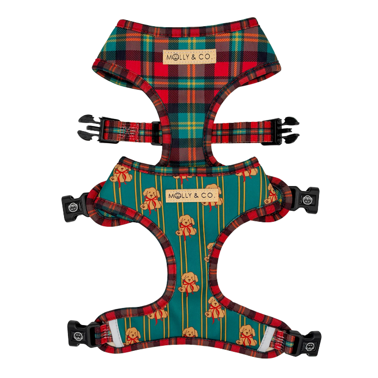 Merrywood - Walking Bundle