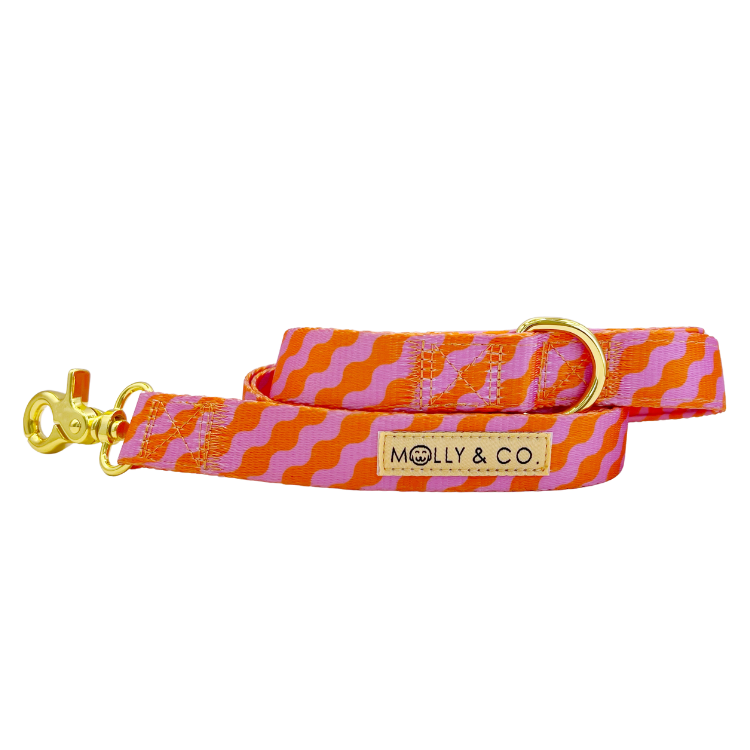 Mango - Dog Leash