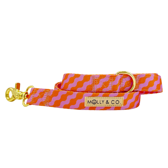 Mango - Dog Leash