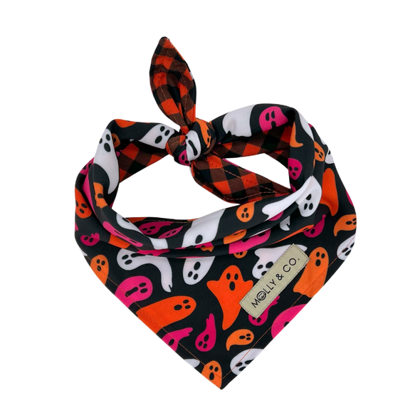 Boo! - Reversible Dog Bandana