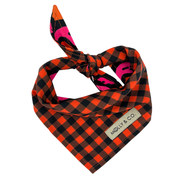 Boo! - Reversible Dog Bandana