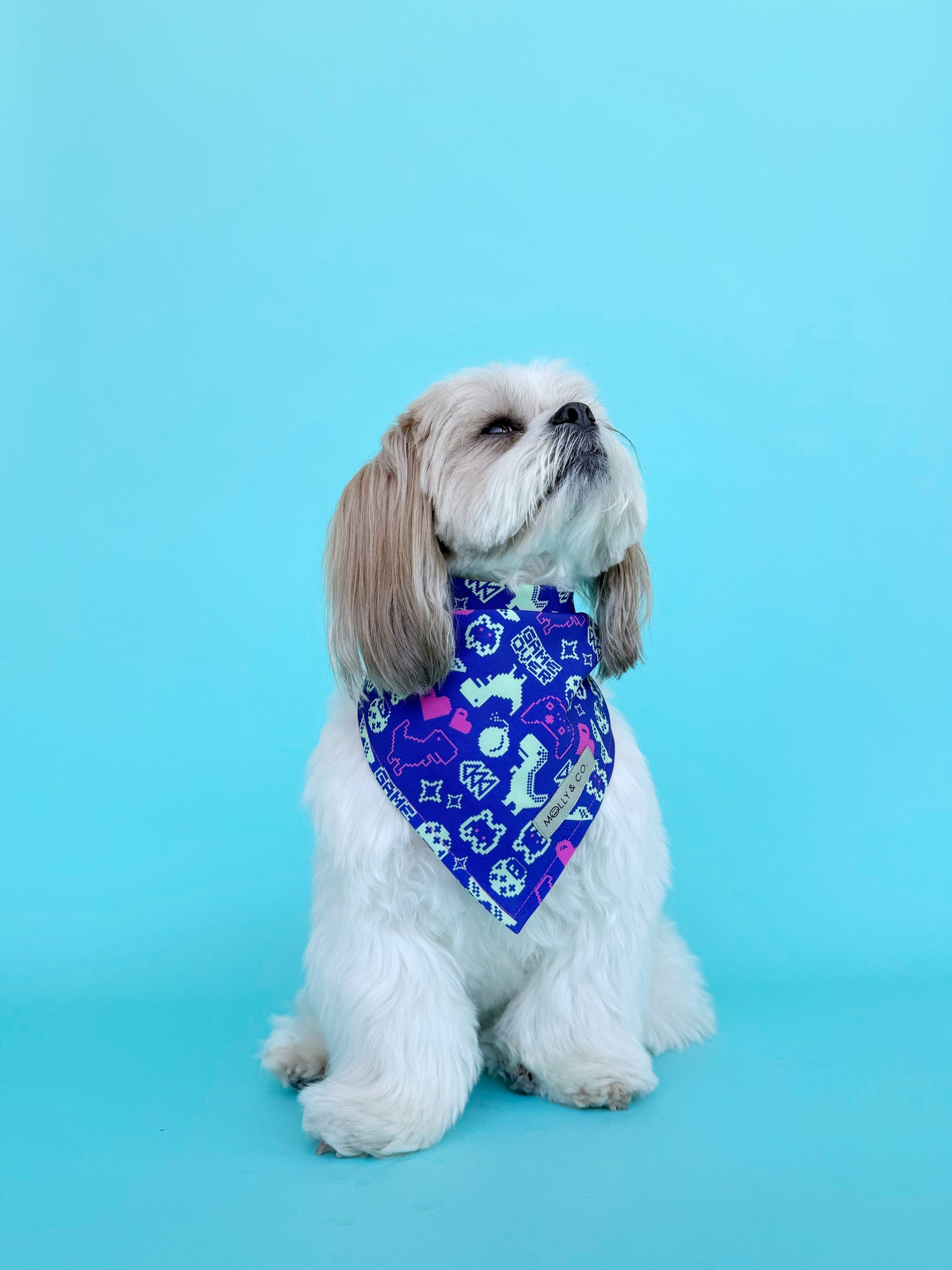 Gamer - Dog Bandana