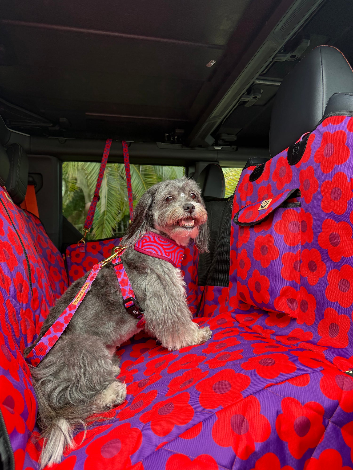 Mon Chéri - Dog Seatbelt