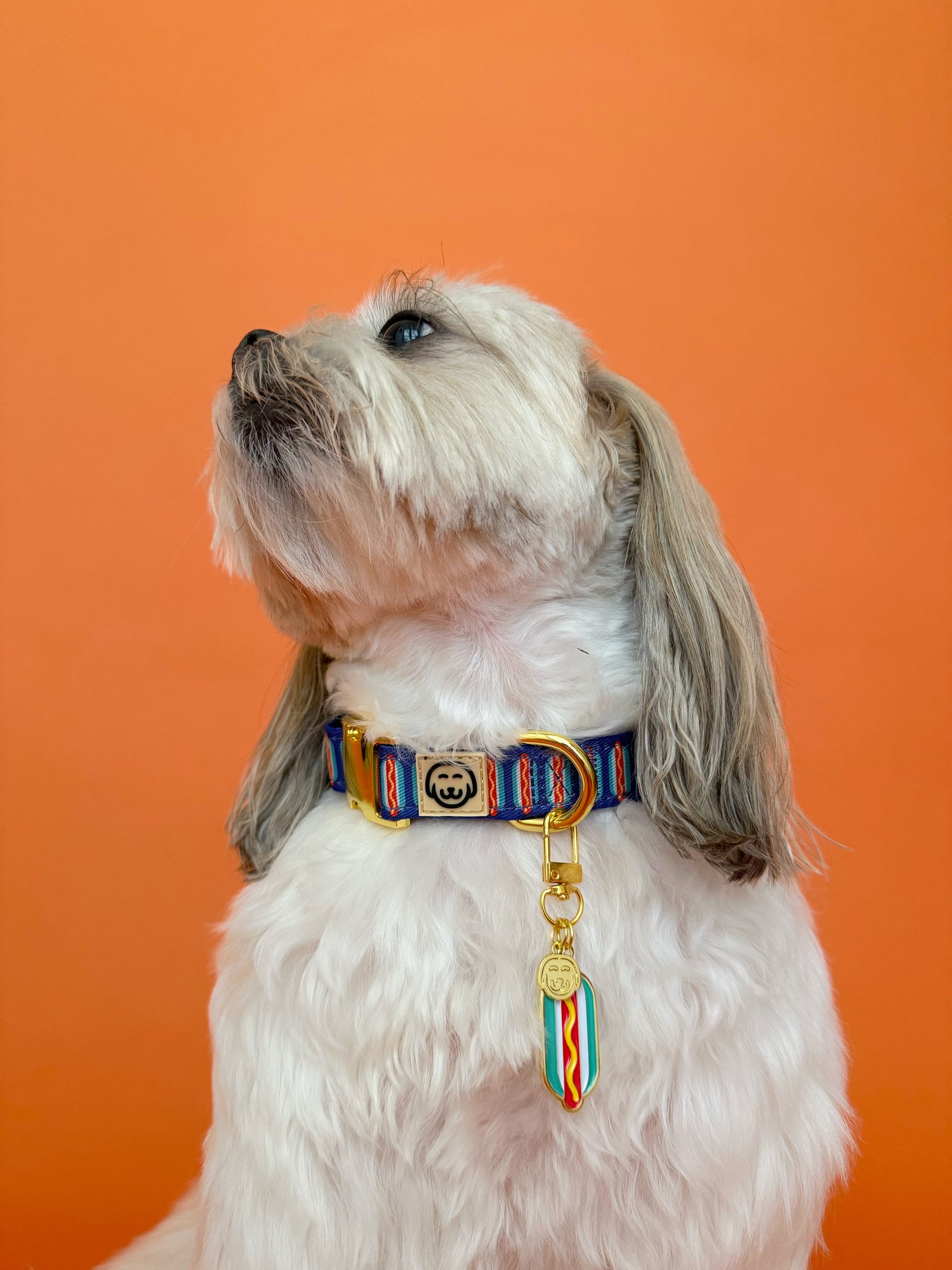 Wiener - Collar Charm